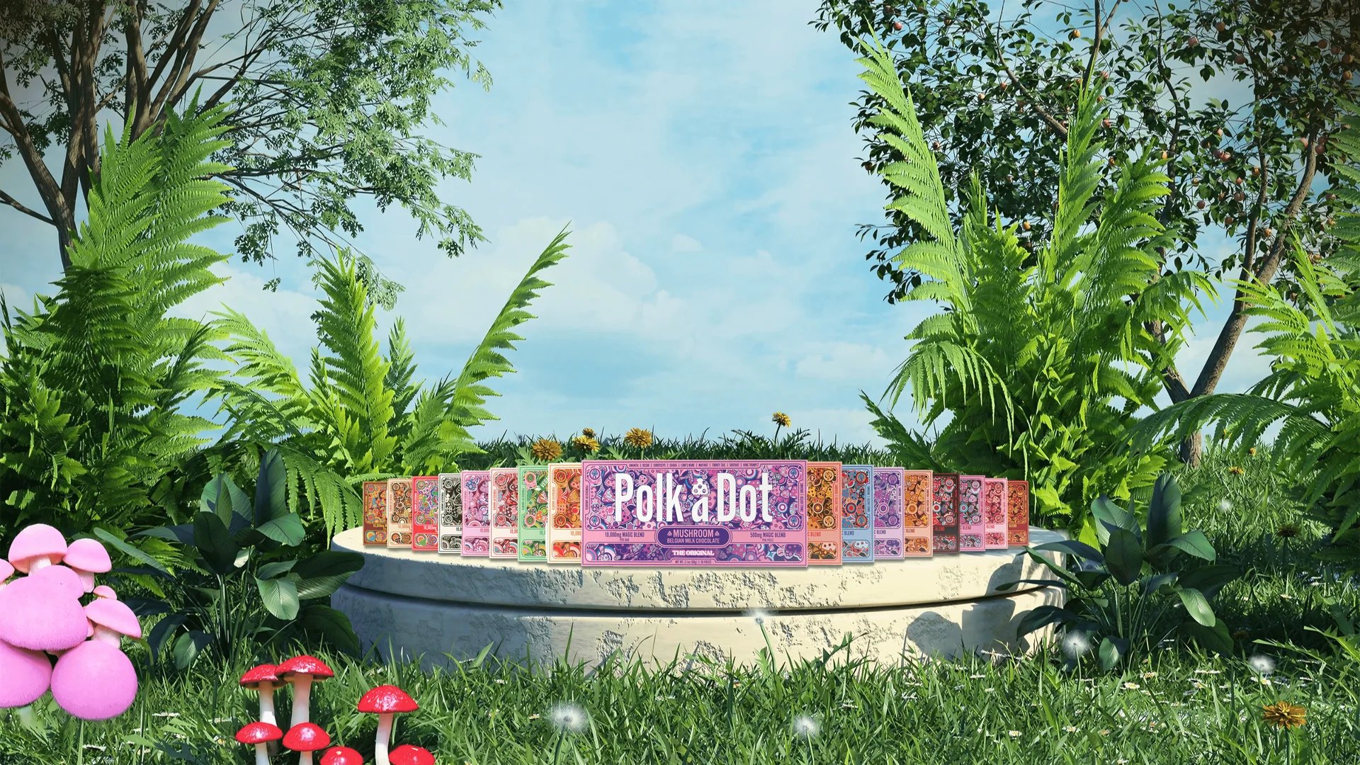 Buy Polkadot Chocolate